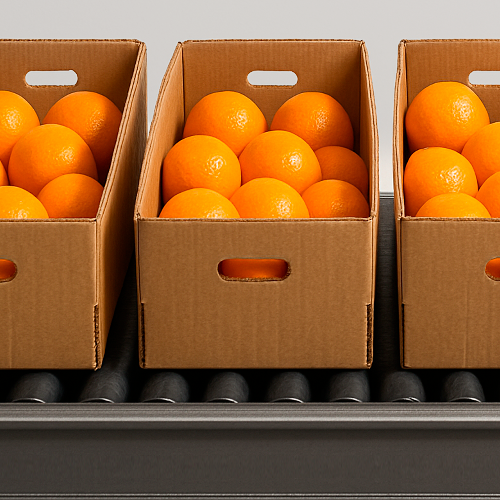 Case & Carton Sealing